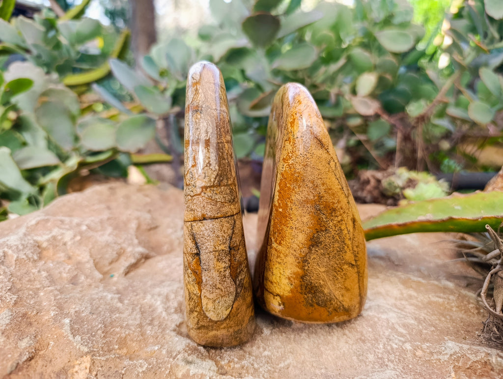 Polished Picture Stone Jasper Standing Free Forms x 2 From Ais-Ais, Namibia - Toprock Gemstones and Minerals 