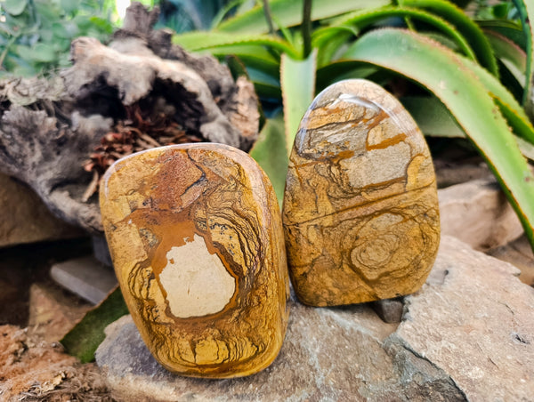Polished Picture Stone Jasper Standing Free Forms x 2 From Ais-Ais, Namibia