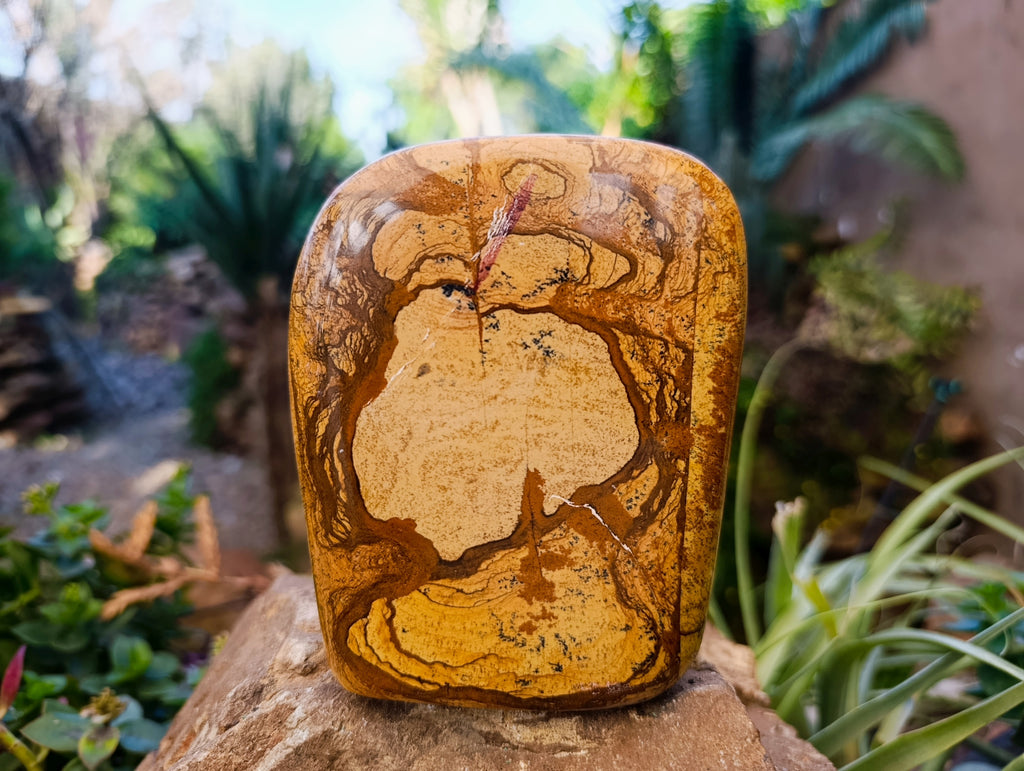 Polished Picture Stone Jasper Standing Free Forms x 2 From Ais-Ais, Namibia - Toprock Gemstones and Minerals 