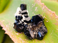 Natural Schorl Black Tourmaline Specimens with some Orthoclase, Smokey Quartz and Hyalite Opal x 70 From Erongo, Namibia - Toprock Gemstones and Minerals 