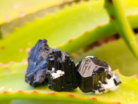 Natural Schorl Black Tourmaline Specimens with some Orthoclase, Smokey Quartz and Hyalite Opal x 70 From Erongo, Namibia - Toprock Gemstones and Minerals 