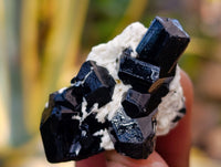 Natural Schorl Black Tourmaline Specimens with some Orthoclase, Smokey Quartz and Hyalite Opal x 70 From Erongo, Namibia - Toprock Gemstones and Minerals 