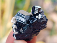 Natural Schorl Black Tourmaline Specimens with some Orthoclase, Smokey Quartz and Hyalite Opal x 70 From Erongo, Namibia - Toprock Gemstones and Minerals 