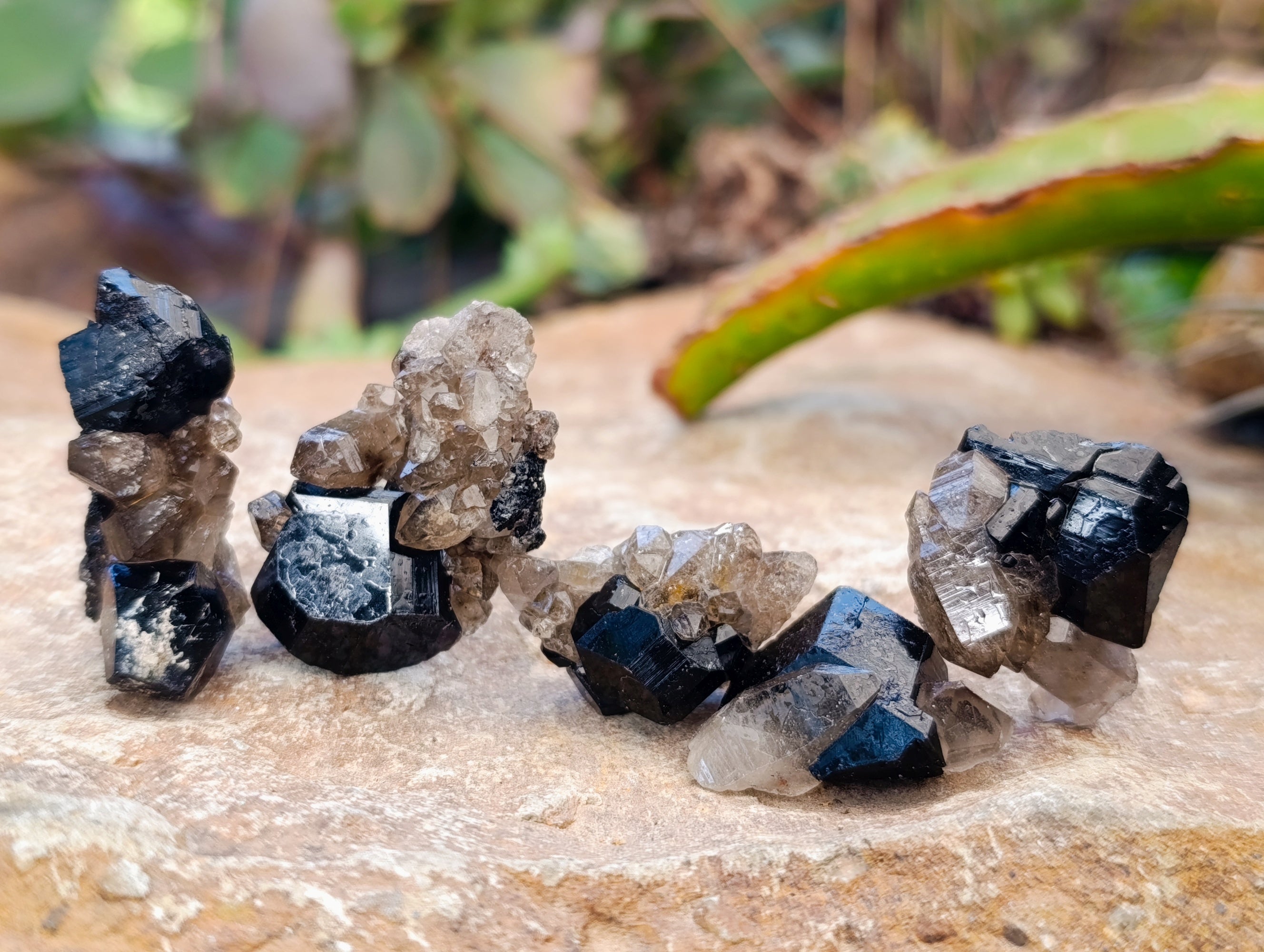 Natural Schorl Black Tourmaline Specimens with some Orthoclase, Smokey Quartz and Hyalite Opal x 70 From Erongo, Namibia - Toprock Gemstones and Minerals 