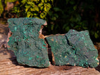 Natural Crystalline Malachite Specimens x 2 From Tenke Fungurume, Congo - Toprock Gemstones and Minerals 