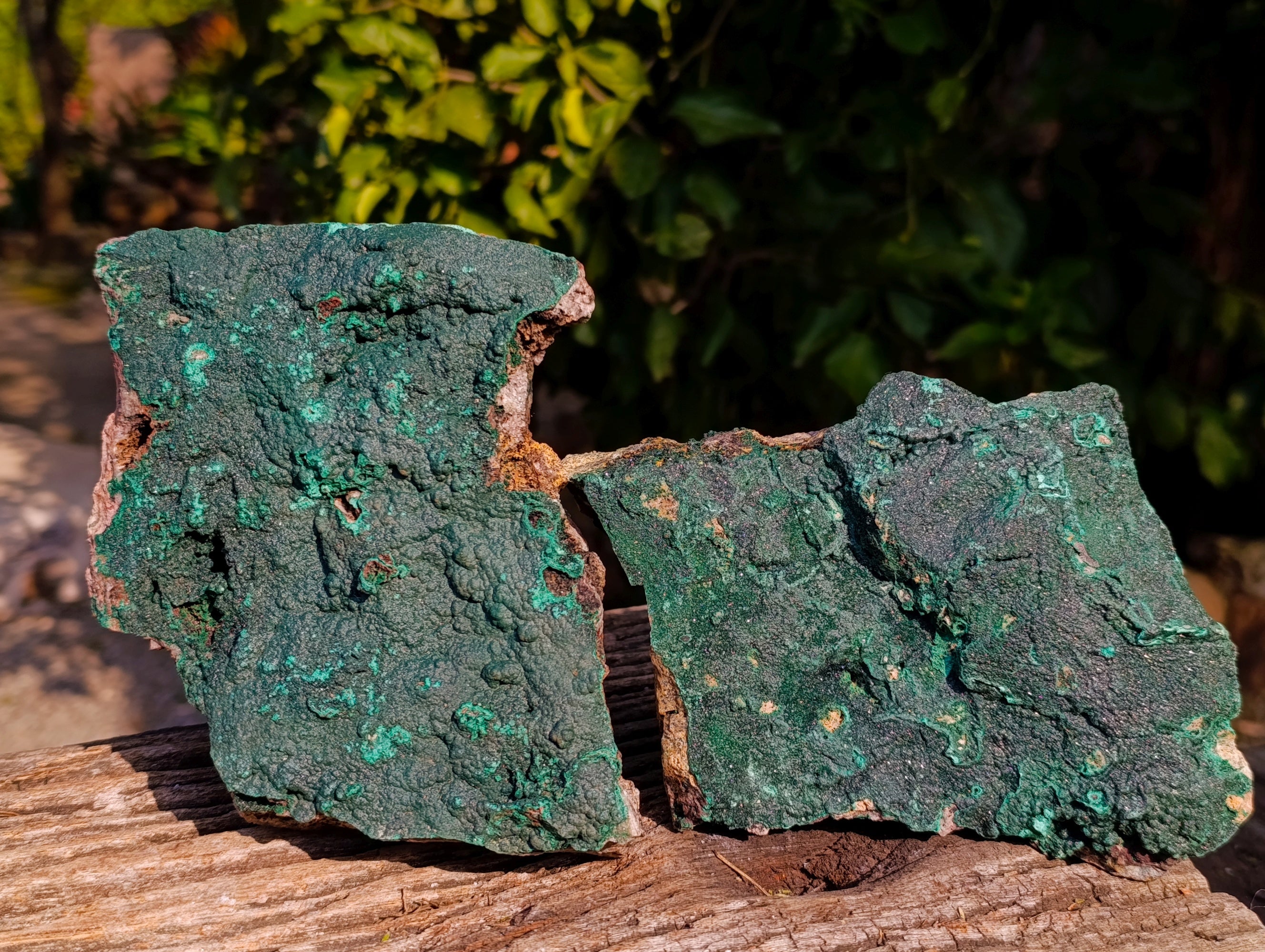 Natural Crystalline Malachite Specimens x 2 From Tenke Fungurume, Congo - Toprock Gemstones and Minerals 