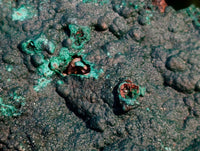Natural Crystalline Malachite Specimens x 2 From Tenke Fungurume, Congo - Toprock Gemstones and Minerals 