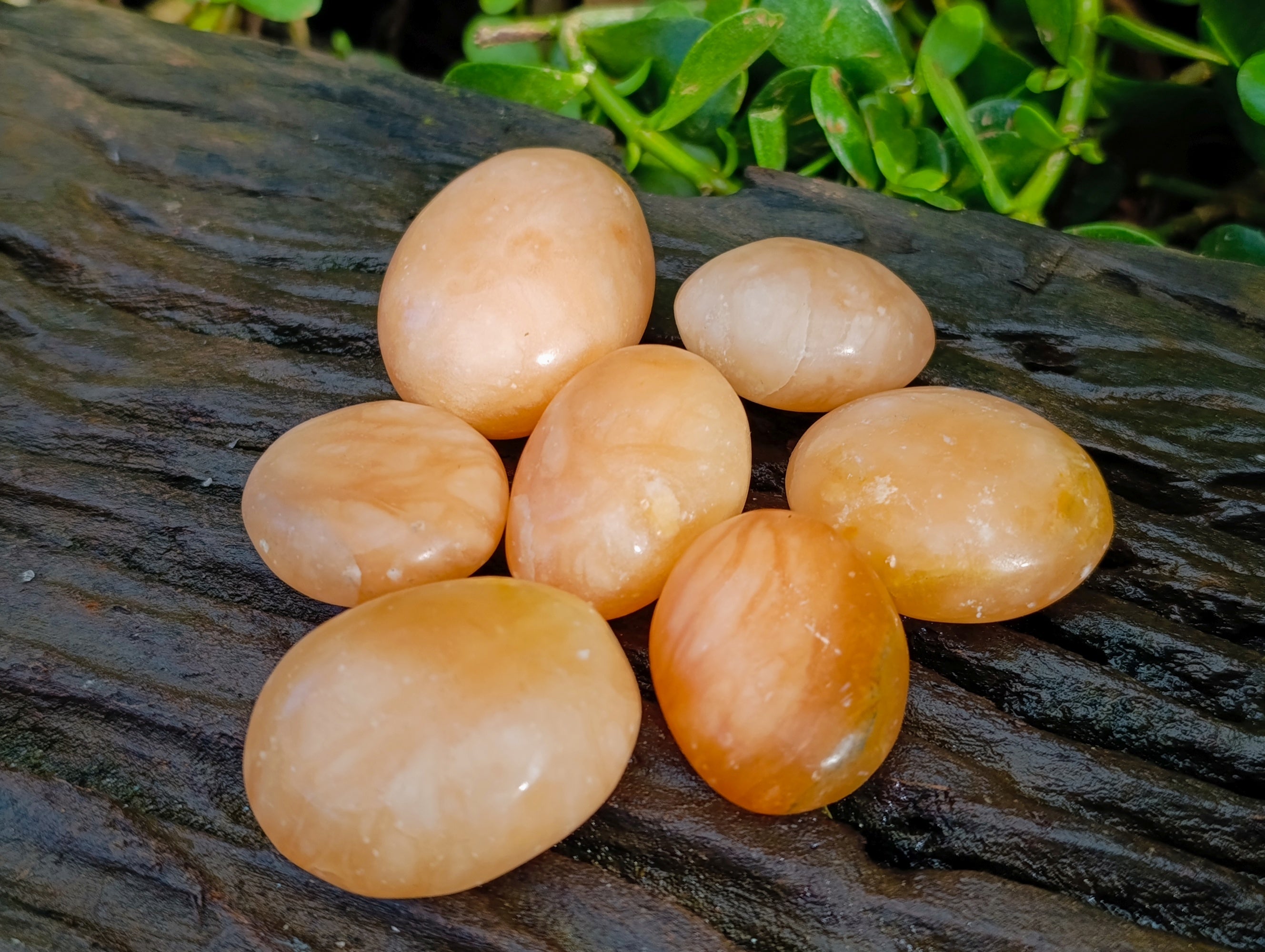 Polished Orange Twist Calcite Palm Stones x 25 From Maevantanana, Madagascar - Toprock Gemstones and Minerals 