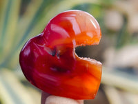 Polished Mini Carnelian Agate "Jewellery" Gemstone Hearts x 20 From Madagascar