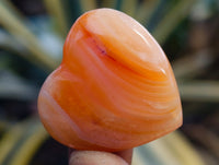 Polished Mini Carnelian Agate "Jewellery" Gemstone Hearts x 20 From Madagascar
