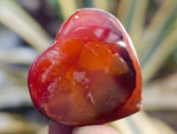Polished Mini Carnelian Agate "Jewellery" Gemstone Hearts x 20 From Madagascar