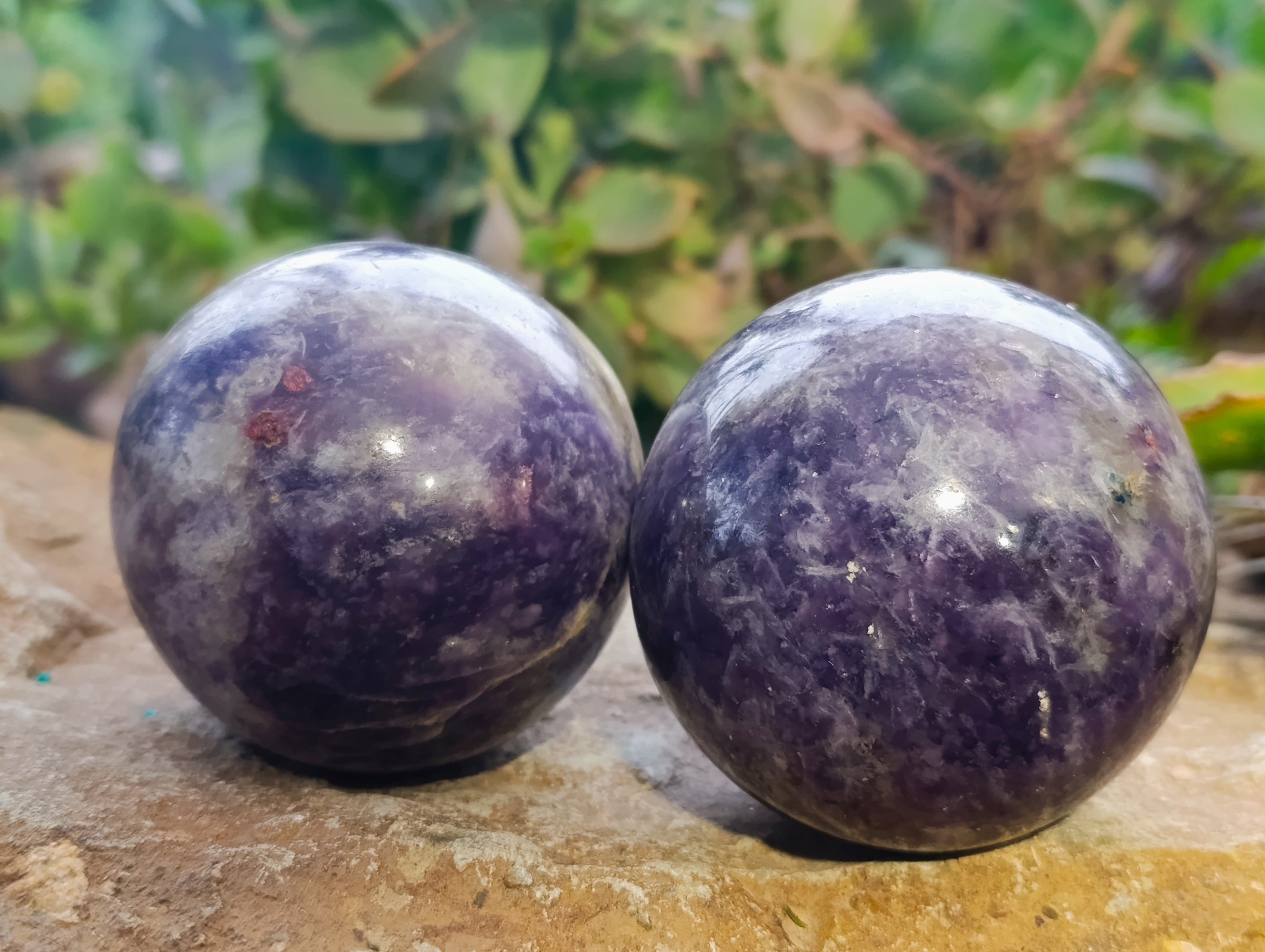 Polished Lepidolite with Pink Rubellite Spheres x 2 From Ambatondrazaka, Madagascar - Toprock Gemstones and Minerals 