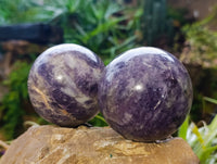 Polished Lepidolite with Pink Rubellite Spheres x 2 From Ambatondrazaka, Madagascar - Toprock Gemstones and Minerals 