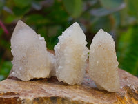Natural Selected Mini White Spirit Quartz Single Crystals x 70 From South Africa