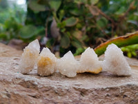 Natural Selected Mini White Spirit Quartz Single Crystals x 70 From South Africa