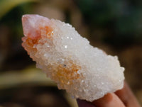 Natural Selected Mini White Spirit Quartz Single Crystals x 70 From South Africa