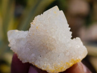 Natural Selected Mini White Spirit Quartz Single Crystals x 70 From South Africa