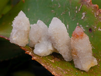 Natural Selected Mini White Spirit Quartz Single Crystals x 70 From South Africa
