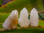 Natural Selected Mini White Spirit Quartz Single Crystals x 70 From South Africa - Toprock Gemstones and Minerals 