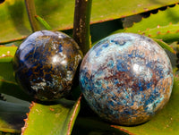 Polished Shattuckite Spheres x 2 From Congo
