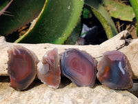 Polished On One Side Red Sashe River Agate Nodules x 35 From Zimbabwe - Toprock Gemstones and Minerals 