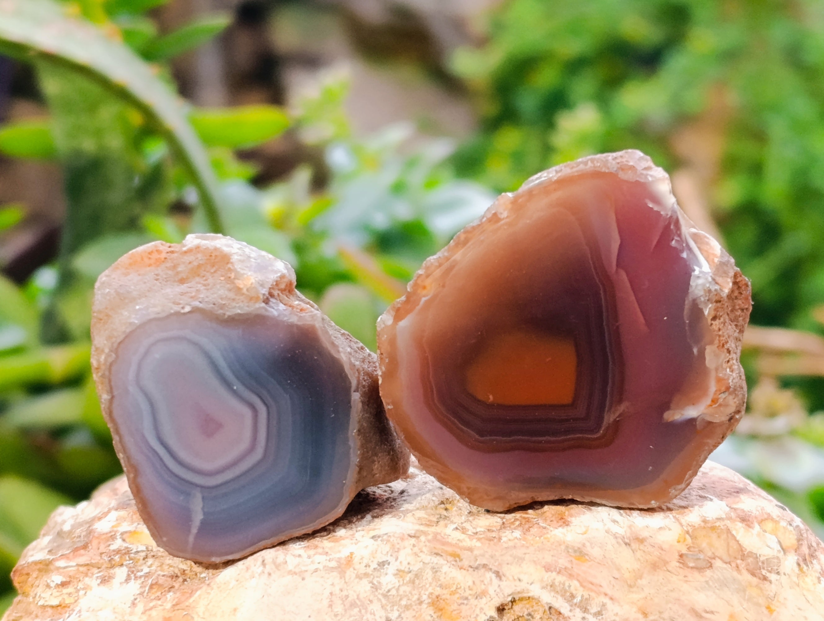 Polished On One Side Red Sashe River Agate Nodules x 35 From Zimbabwe - Toprock Gemstones and Minerals 