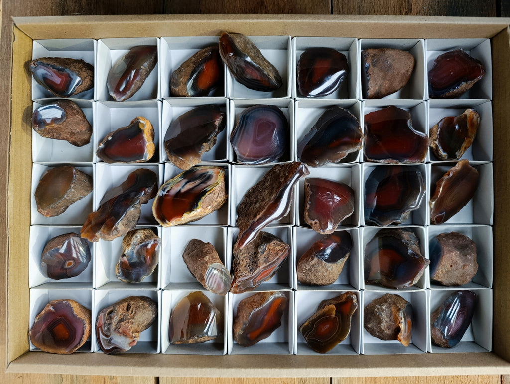 Polished On One Side Red Sashe River Agate Nodules x 35 From Zimbabwe - Toprock Gemstones and Minerals 