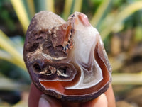 Polished On One Side Red Sashe River Agate Nodules x 35 From Zimbabwe - Toprock Gemstones and Minerals 
