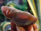 Polished On One Side Red Sashe River Agate Nodules x 35 From Zimbabwe - Toprock Gemstones and Minerals 