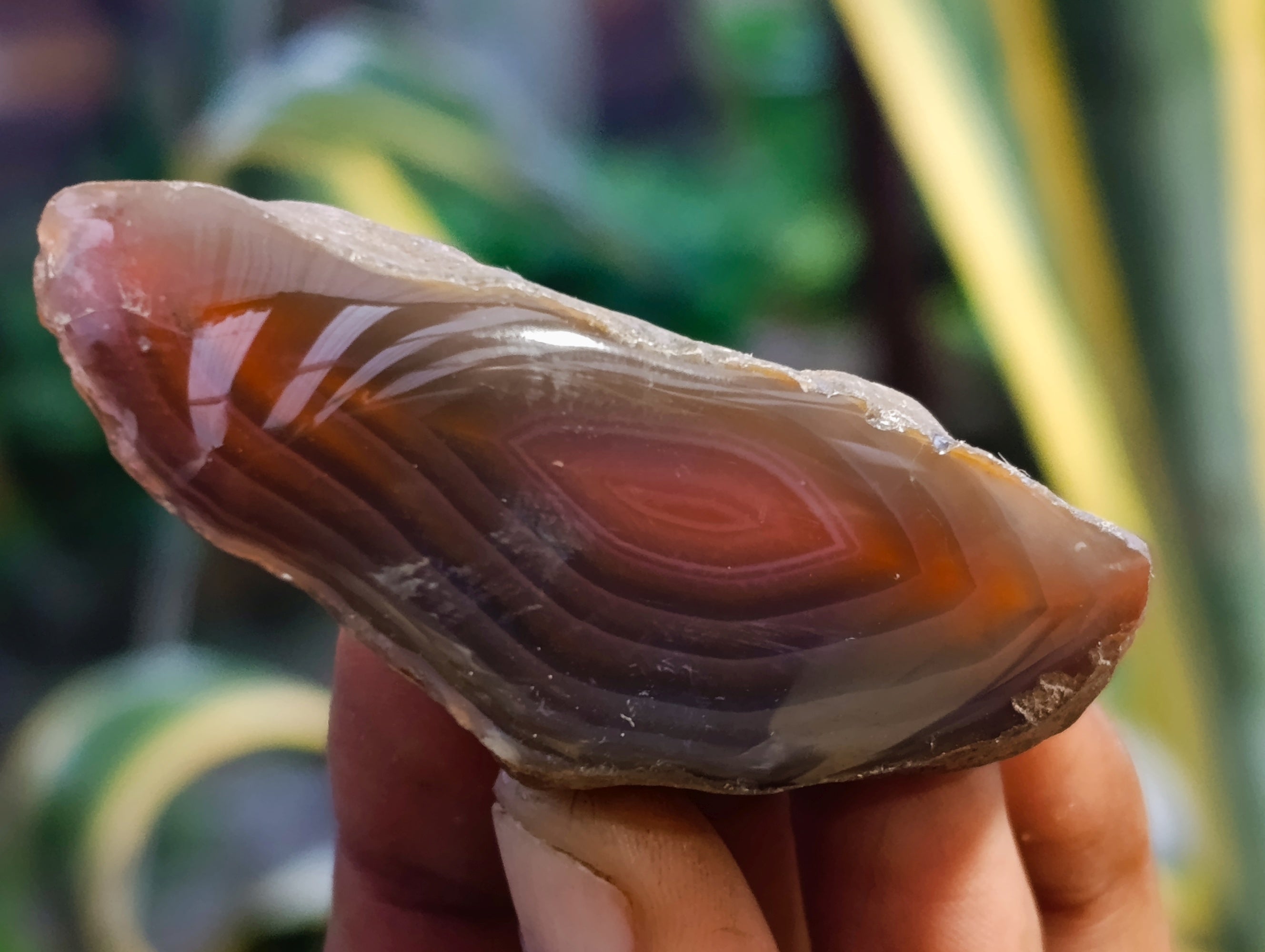 Polished On One Side Red Sashe River Agate Nodules x 35 From Zimbabwe - Toprock Gemstones and Minerals 