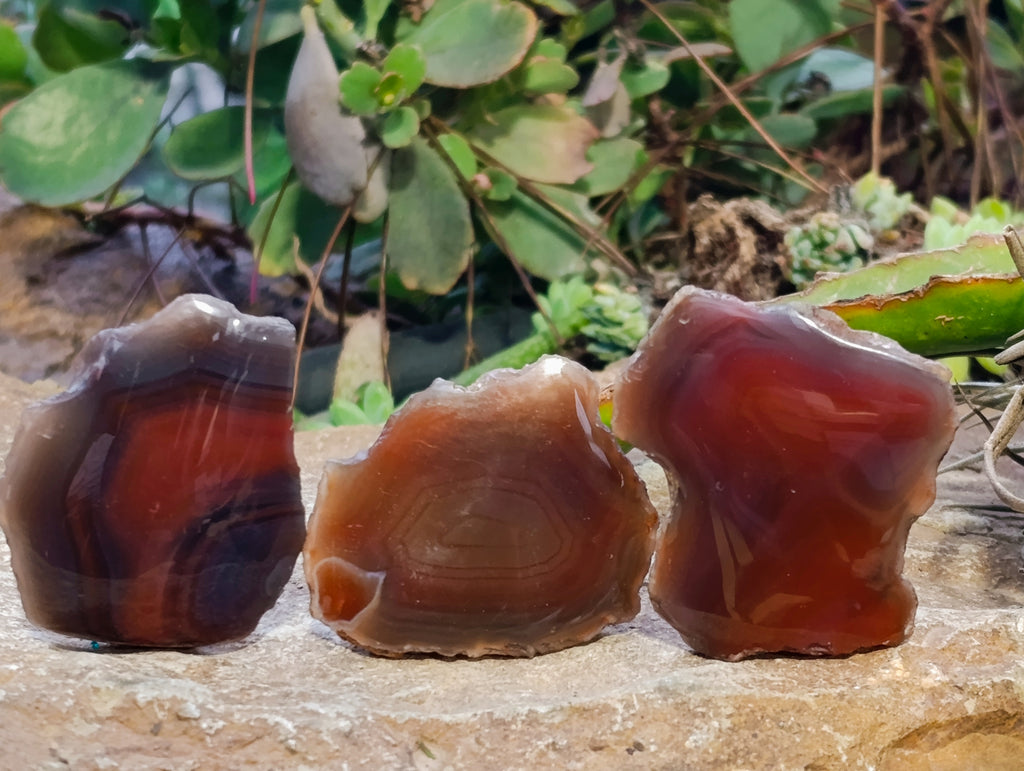 Polished On One Side Red Sashe River Agate Nodules x 35 From Zimbabwe - Toprock Gemstones and Minerals 