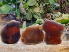 Polished On One Side Red Sashe River Agate Nodules x 35 From Zimbabwe - Toprock Gemstones and Minerals 