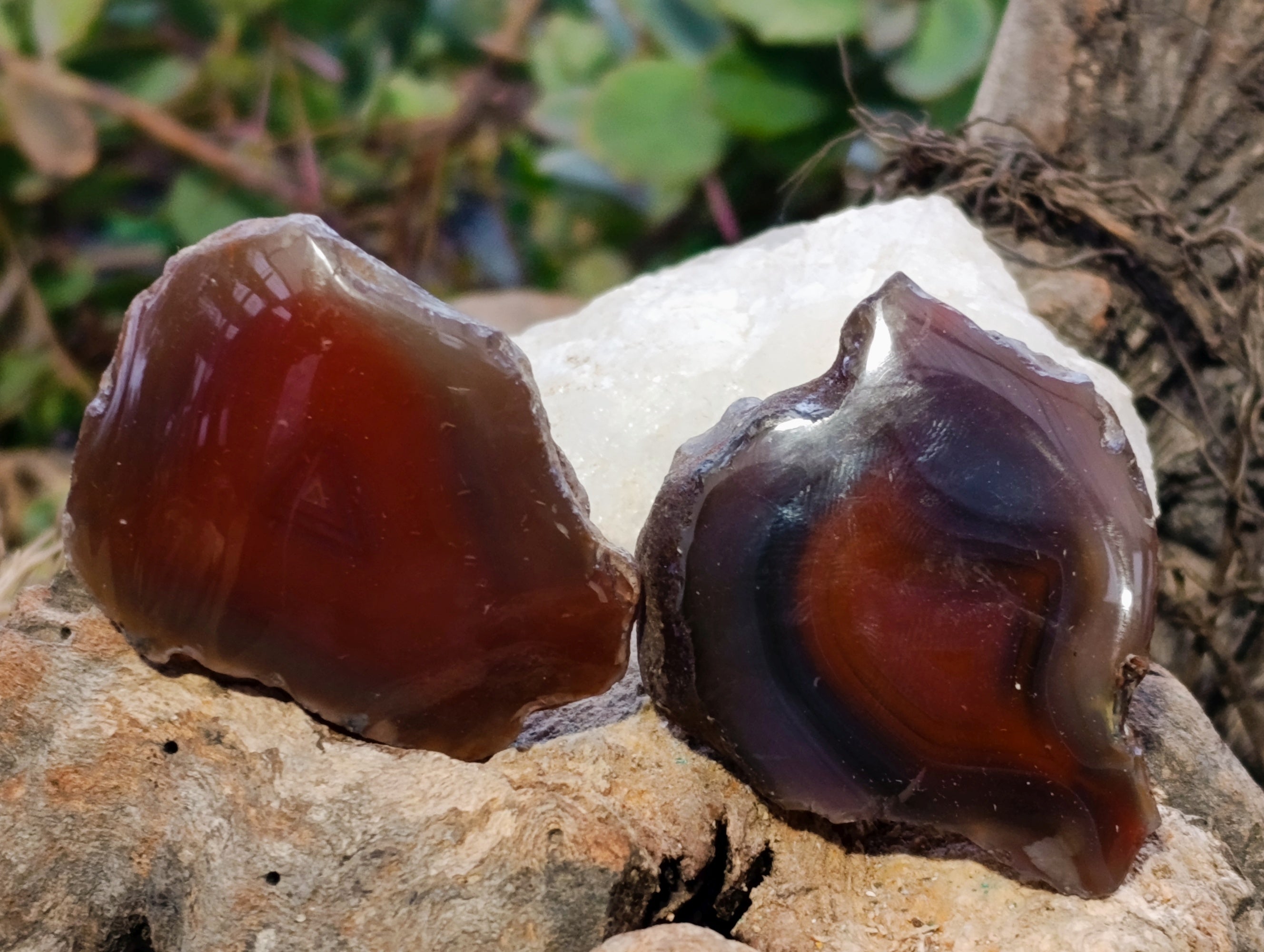 Polished On One Side Red Sashe River Agate Nodules x 35 From Zimbabwe - Toprock Gemstones and Minerals 