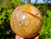 Polished Picture Stone Jasper Spheres x 1 From Ais-Ais, Namibia - Toprock Gemstones and Minerals 