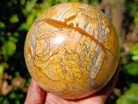 Polished Picture Stone Jasper Spheres x 1 From Ais-Ais, Namibia - Toprock Gemstones and Minerals 