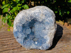 Natural Celestite Geode Specimens x 1 From Sakoany, Madagascar - Toprock Gemstones and Minerals 