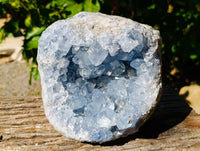 Natural Celestite Geode Specimens x 1 From Sakoany, Madagascar - Toprock Gemstones and Minerals 