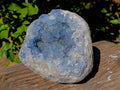 Natural Celestite Geode Specimens x 1 From Sakoany, Madagascar - Toprock Gemstones and Minerals 