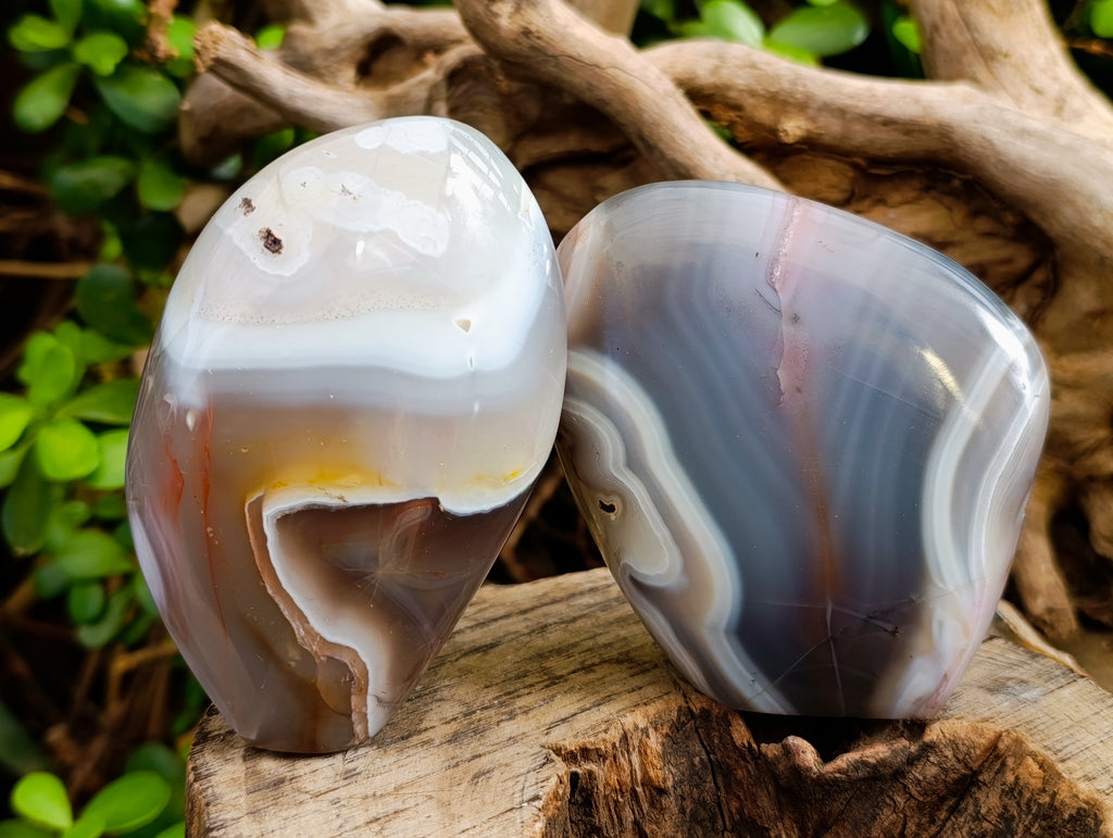 Polished Red Sashe River Agate Standing Free Forms x 6 From Zimbabwe - Toprock Gemstones and Minerals 