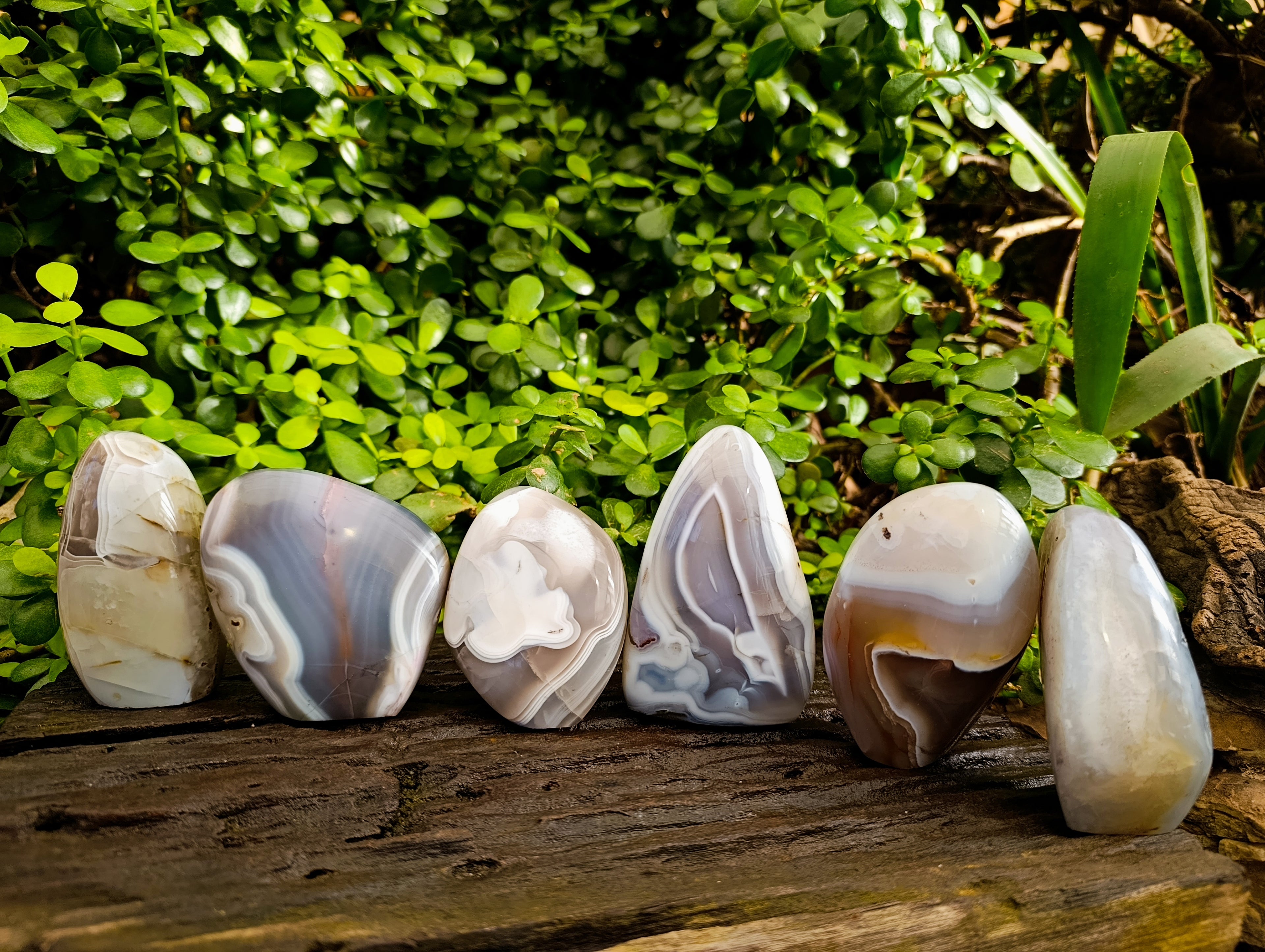 Polished Red Sashe River Agate Standing Free Forms x 6 From Zimbabwe - Toprock Gemstones and Minerals 