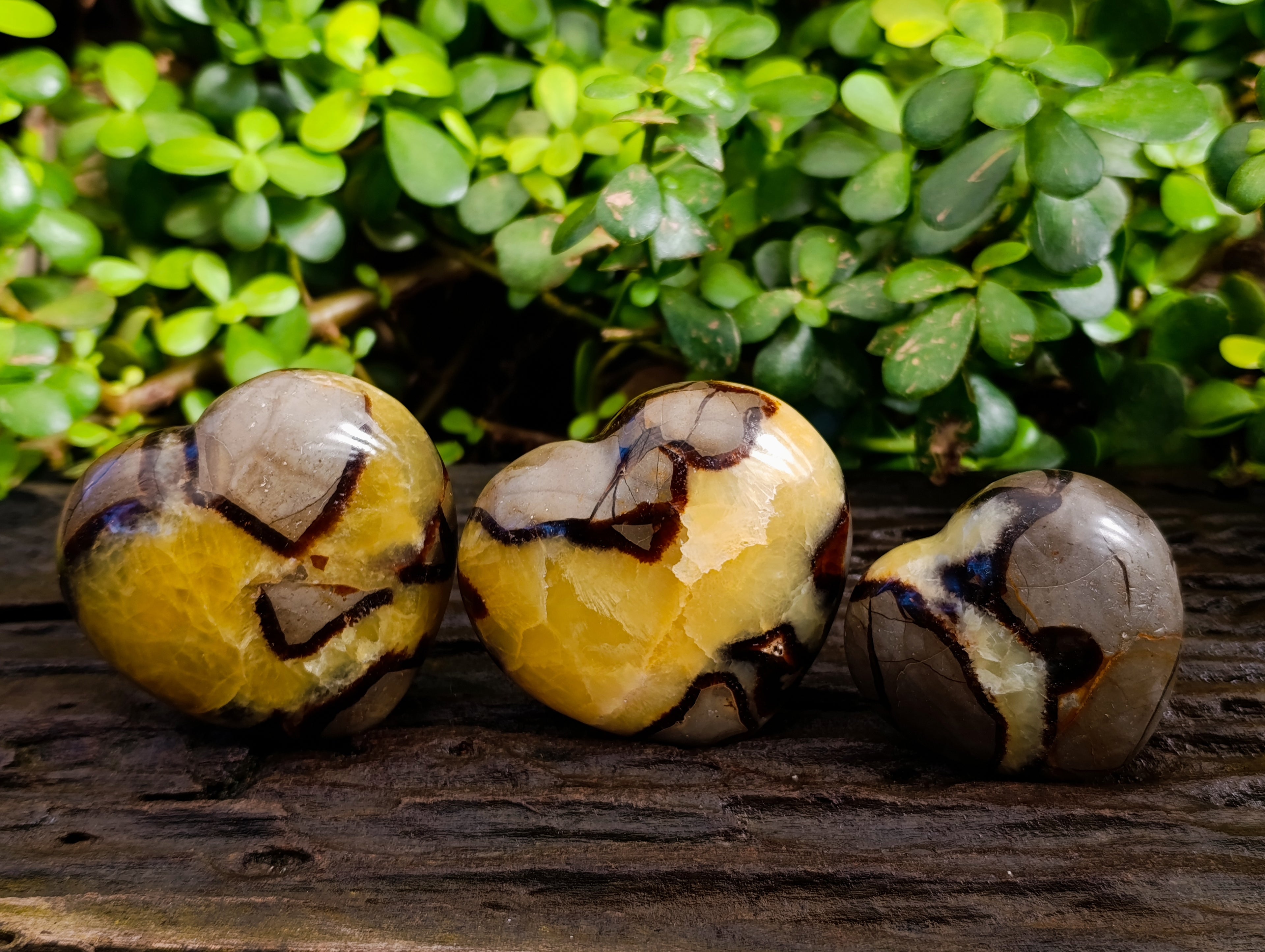 Polished Septerye Hearts x 6 From Mahajanga, Madagascar - Toprock Gemstones and Minerals 