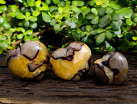 Polished Septerye Hearts x 6 From Mahajanga, Madagascar