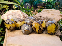 Polished Septerye Hearts x 6 From Mahajanga, Madagascar