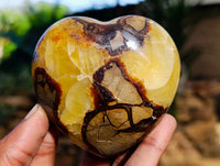 Polished Septerye Hearts x 6 From Mahajanga, Madagascar