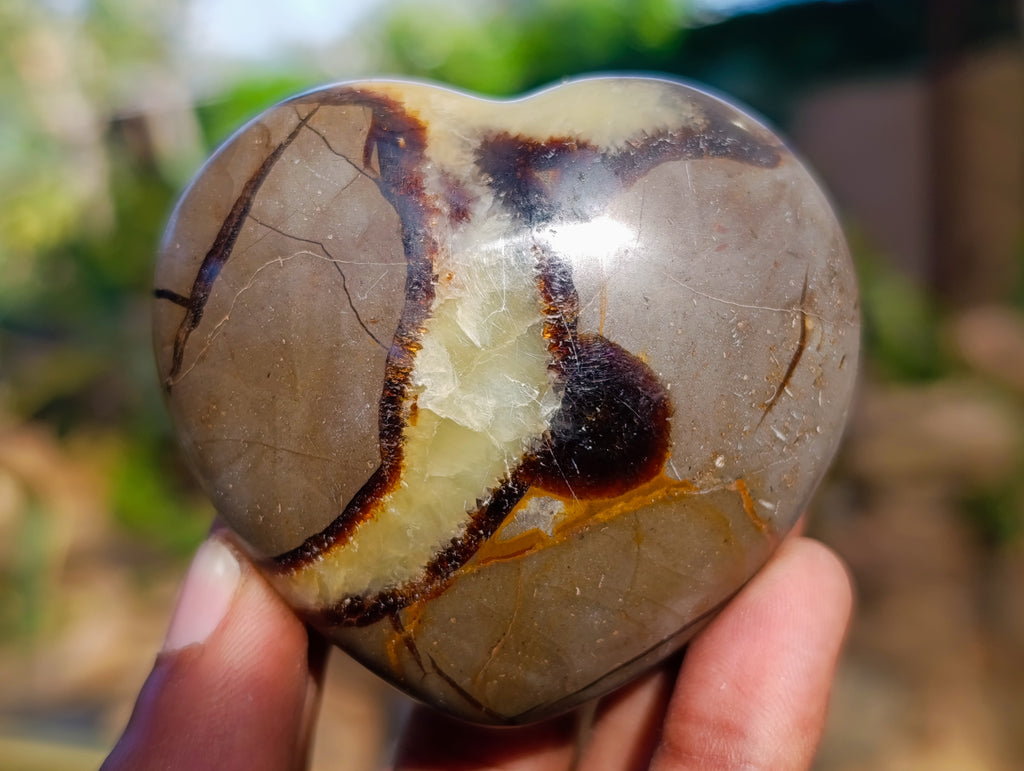 Polished Septerye Hearts x 6 From Mahajanga, Madagascar - Toprock Gemstones and Minerals 