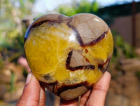 Polished Septerye Hearts x 6 From Mahajanga, Madagascar