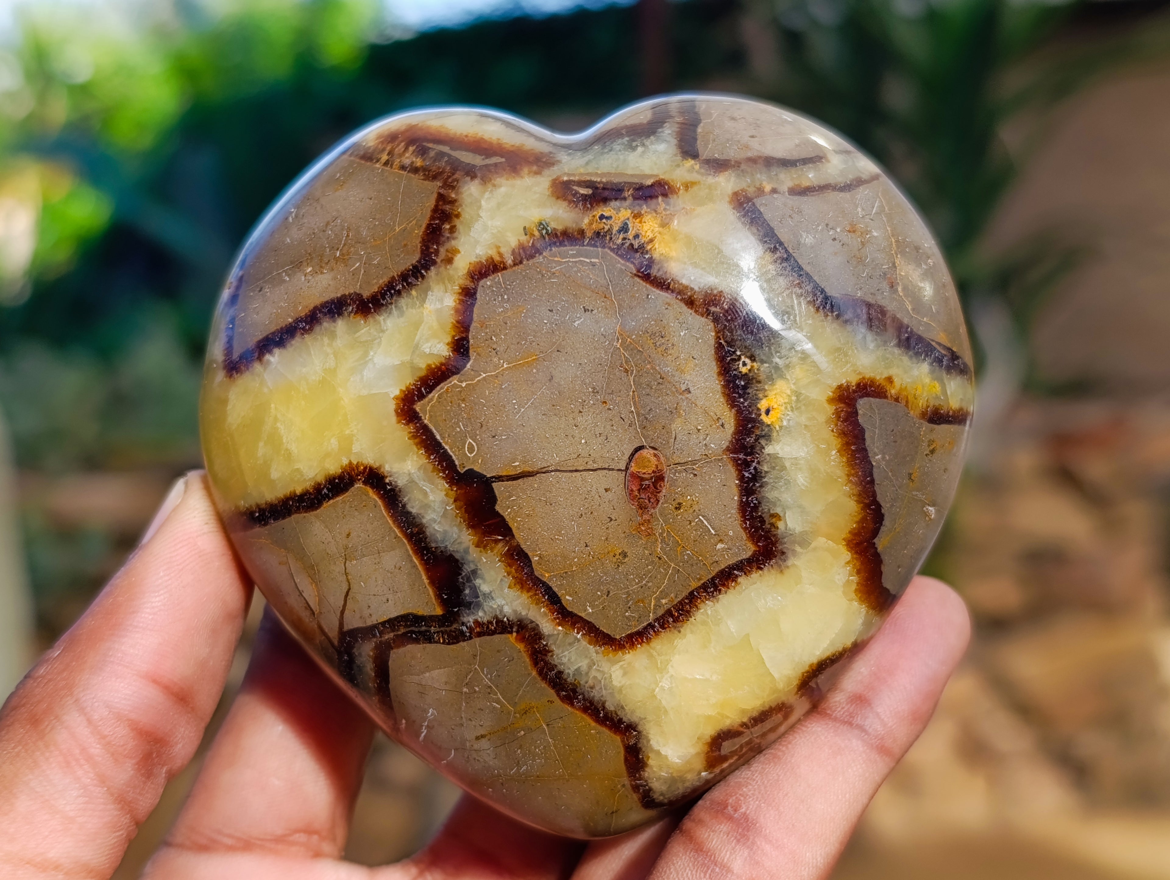 Polished Septerye Hearts x 6 From Mahajanga, Madagascar - Toprock Gemstones and Minerals 