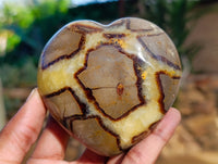 Polished Septerye Hearts x 6 From Mahajanga, Madagascar