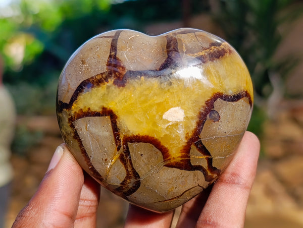 Polished Septerye Hearts x 6 From Mahajanga, Madagascar