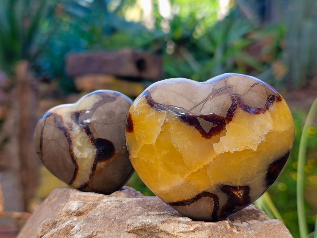 Polished Septerye Hearts x 6 From Mahajanga, Madagascar - Toprock Gemstones and Minerals 